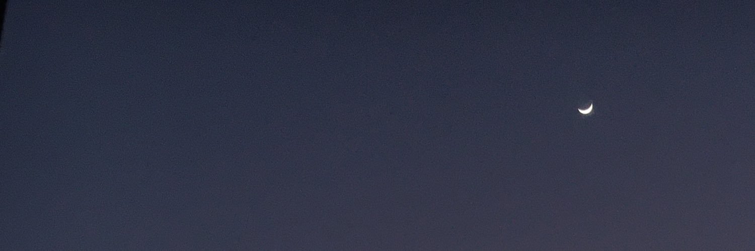 brrendarib's profile banner image