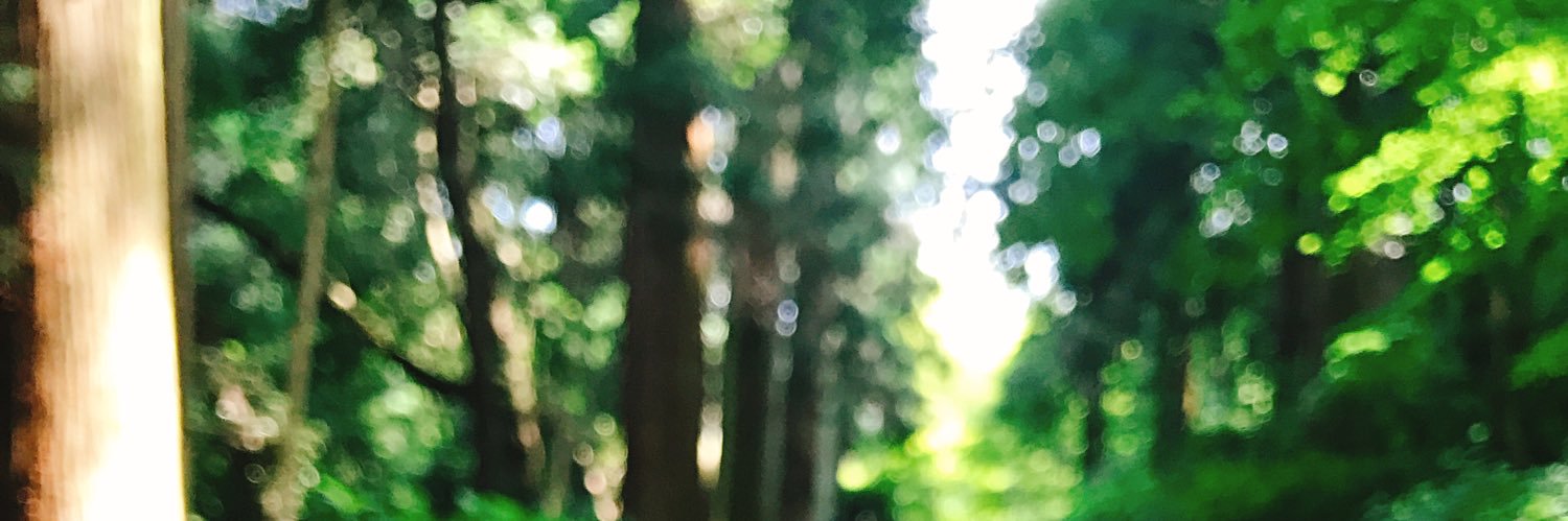 nametake27's profile banner image