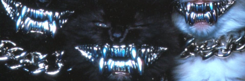 jackkurtis_'s profile banner image