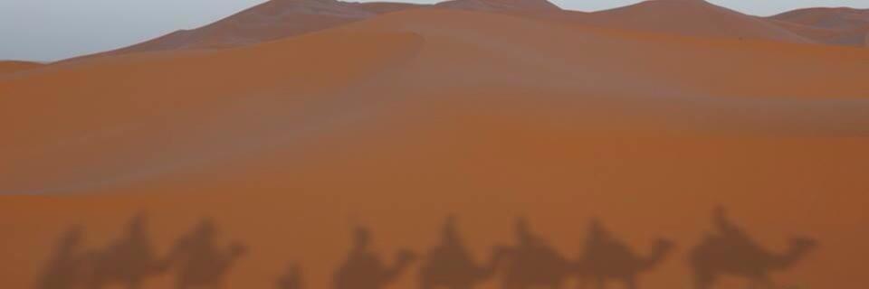 miel424's profile banner image