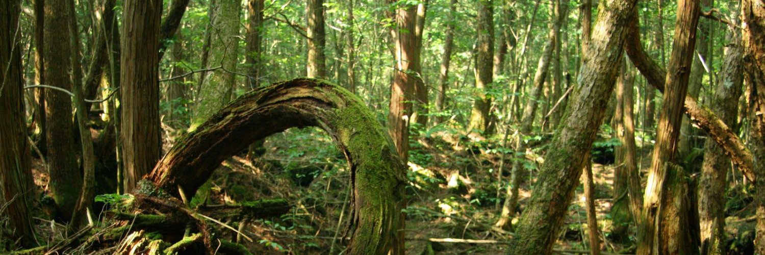 slugbark's profile banner image
