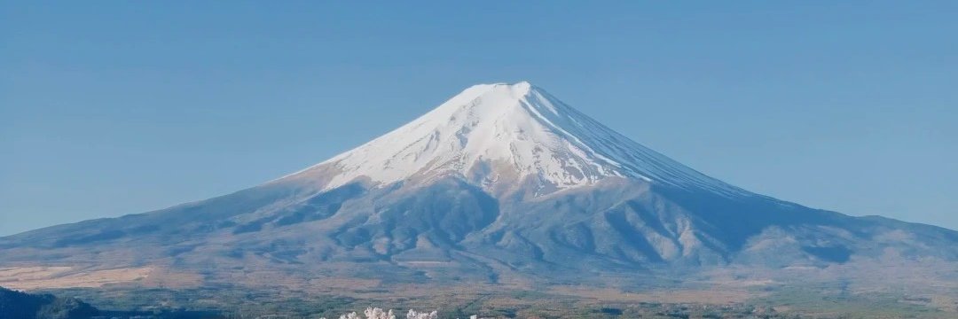 mononoconoco's profile banner image