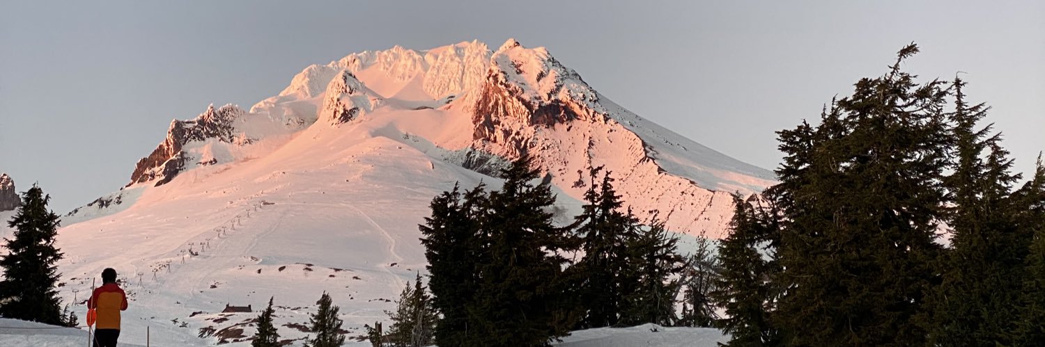 Mitchell Tolander banner