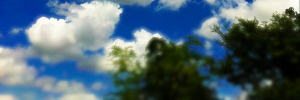 moriyasut's profile banner image