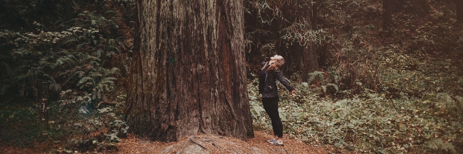 melissense's profile banner image