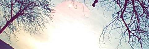 666sbf666's profile banner image