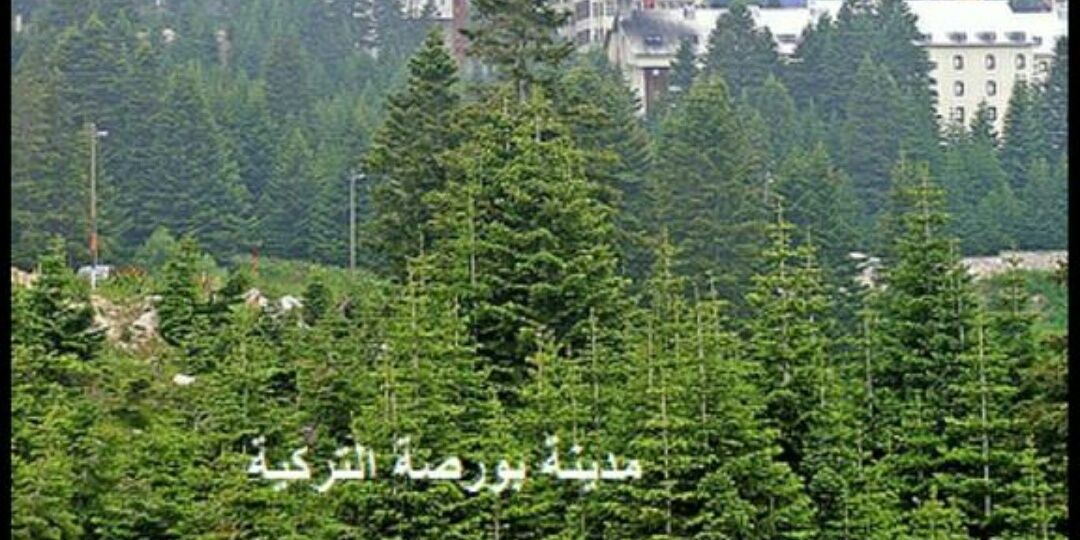 FiadSalsh's profile banner image