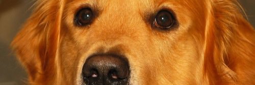 official_eddie's profile banner image