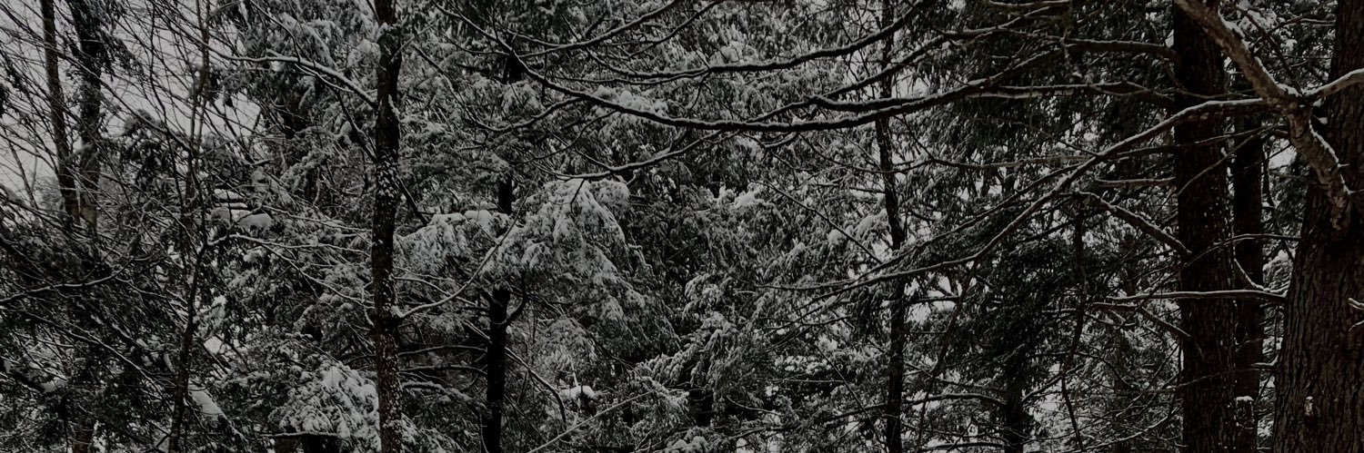emmadecola's profile banner image