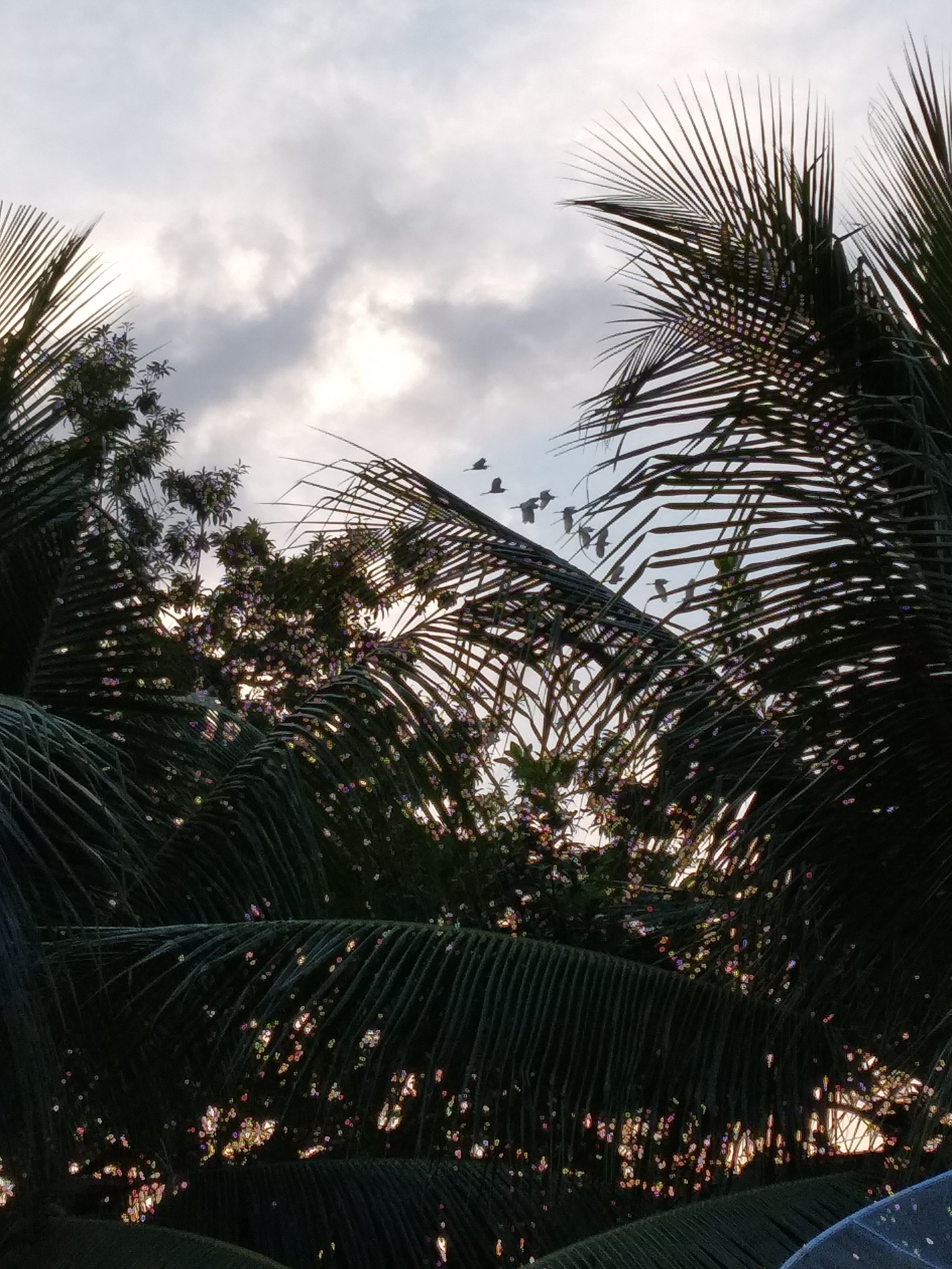 MauLy_Azki's profile banner image