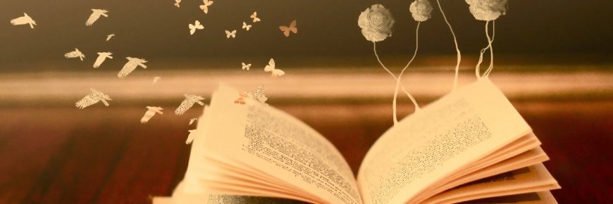 Gailawler's profile banner image
