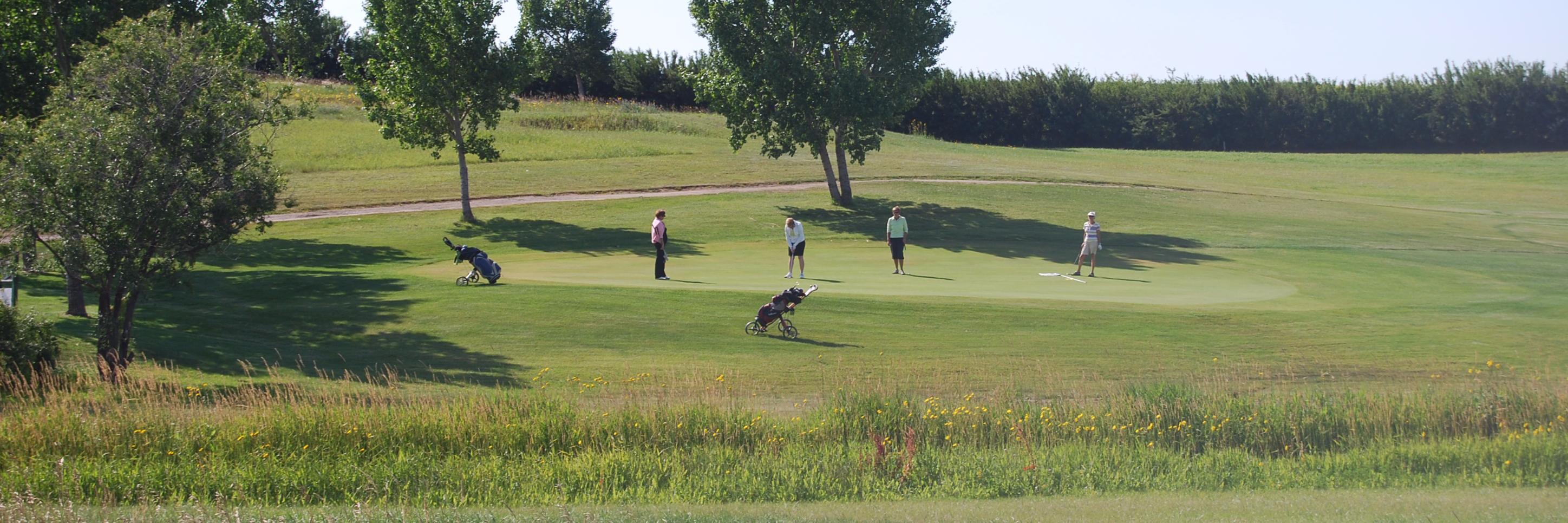 golfrosetown's profile banner image