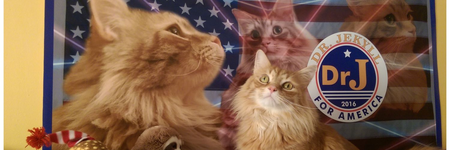 drj4prez's profile banner image