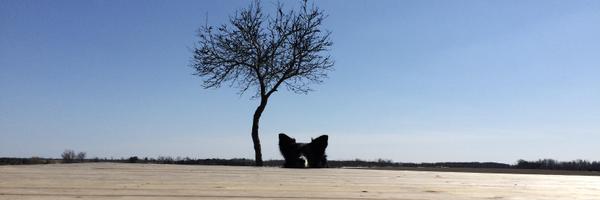 SteveMcCabe73 Profile Banner