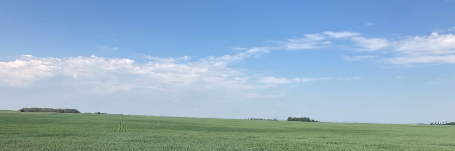 Paul J. Kononoff banner