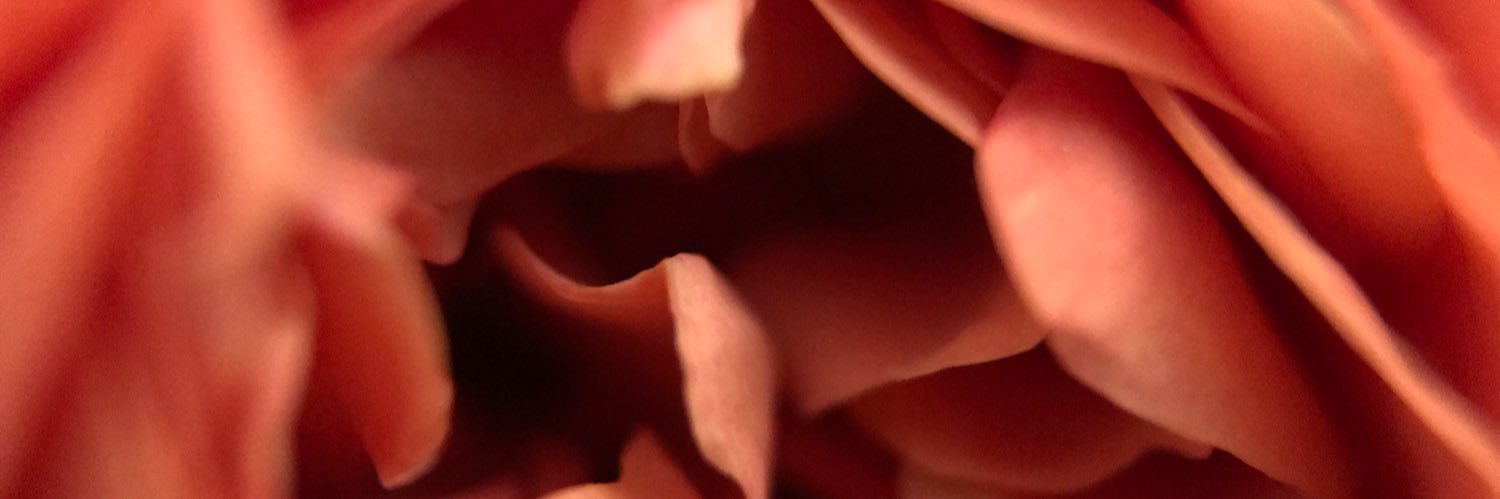 Little Fires banner