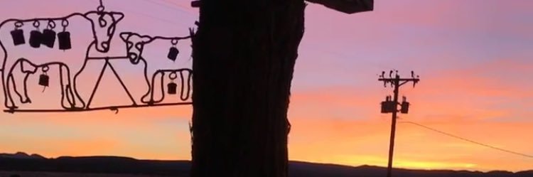 Chelsea_Duree's profile banner image