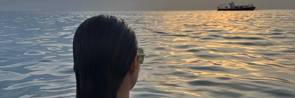 Lizeth Torres banner