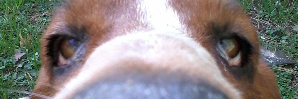 a9ebdcdee59349d's profile banner image