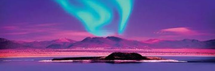 Davamm_Reis's profile banner image