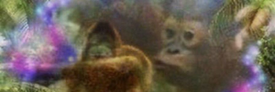 elbuenbubu's profile banner image