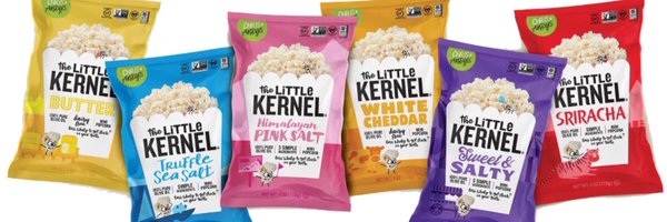 TheLittleKernel Profile Banner