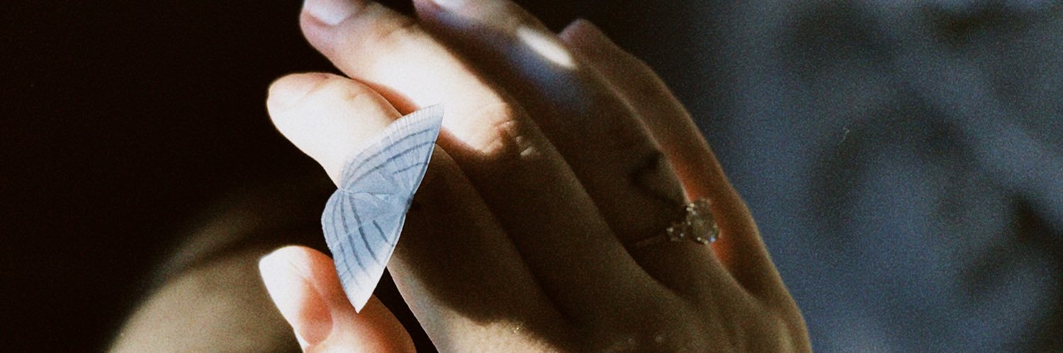 anaasantin's profile banner image