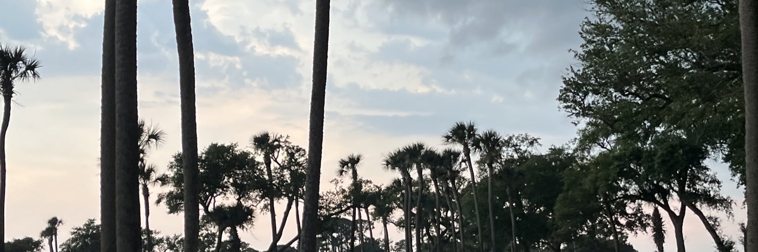 FinnMccool6's profile banner image