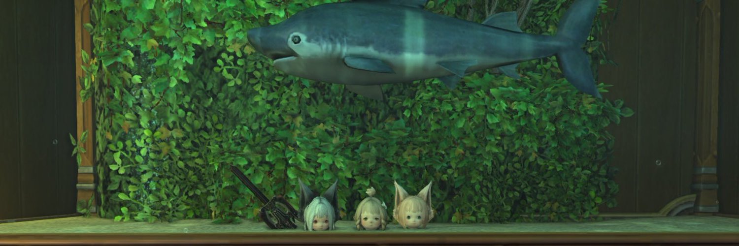 shine_moti's profile banner image