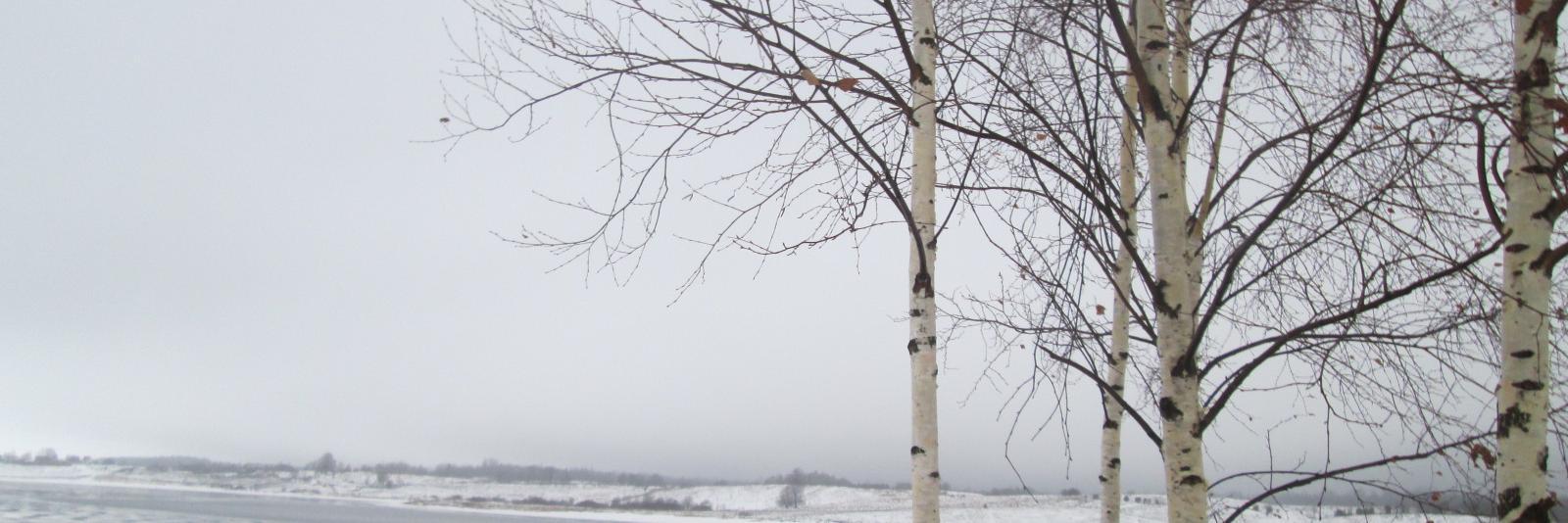 Fil banner