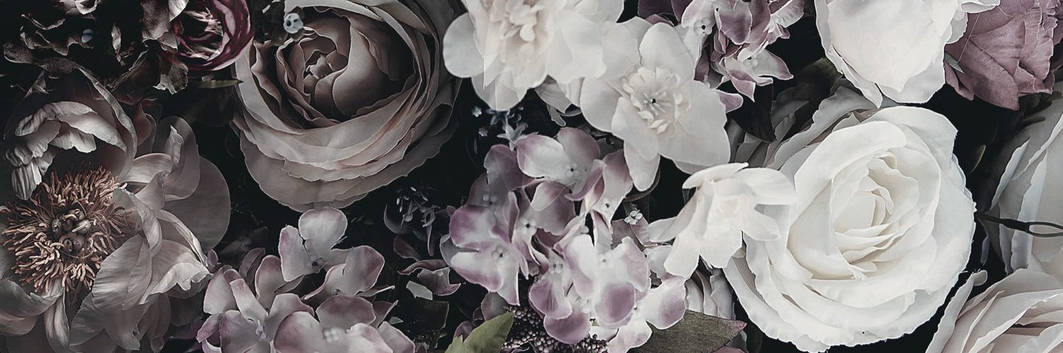 AmazingDanielle's profile banner image