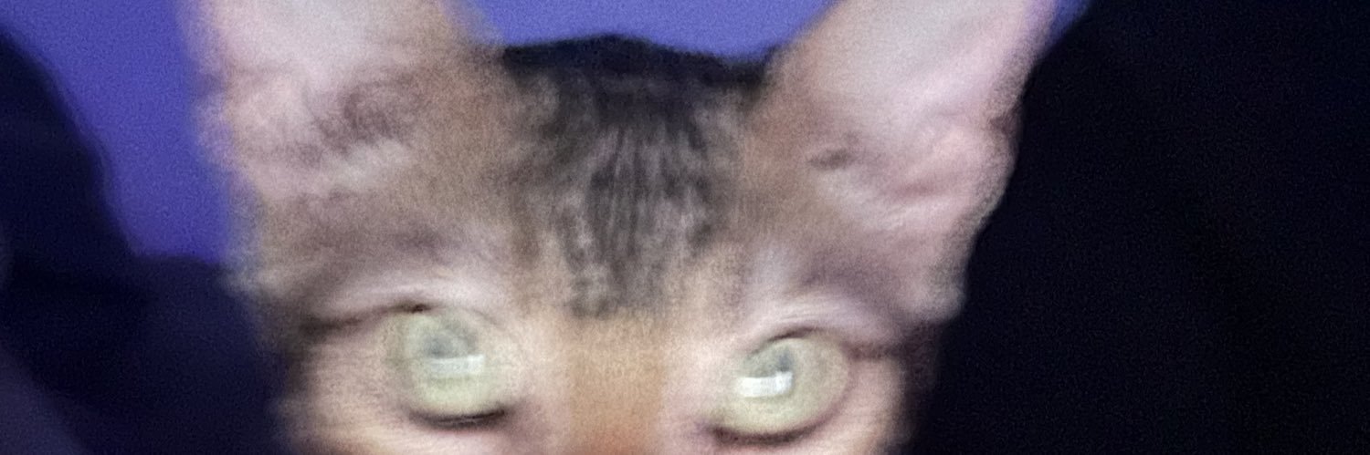 sidneyriveraa's profile banner image