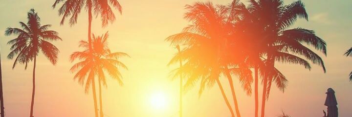 Eddykstone9's profile banner image