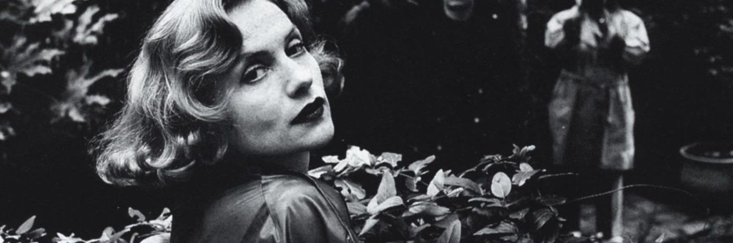 carterstreep's profile banner image
