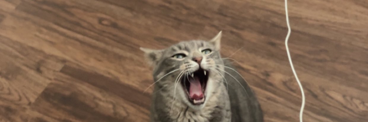 morgan_loowee's profile banner image