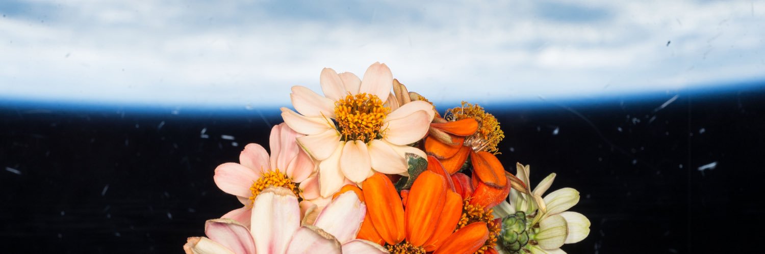 SebastianLach's profile banner image