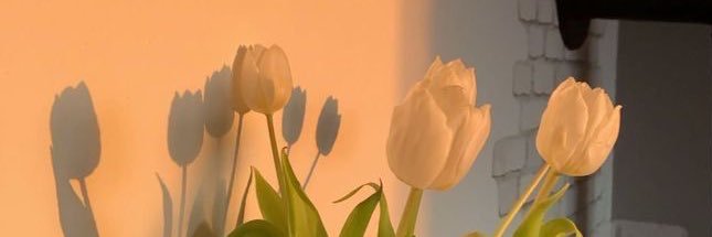 Nicol_FC13's profile banner image