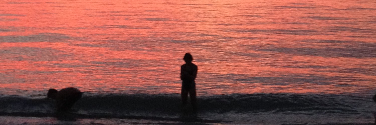 Marcel Mitran banner