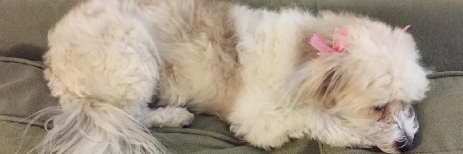 MissMythodical's profile banner image