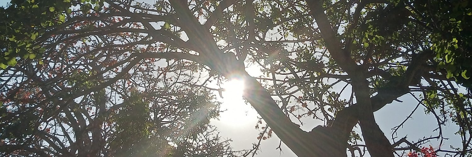 JoyceKelly30's profile banner image