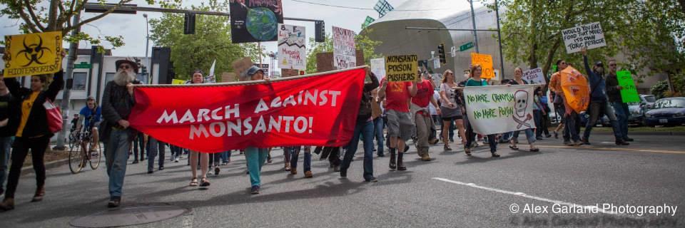 SeattleMAM's profile banner image
