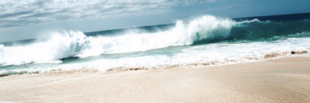 LoadingWilliam's profile banner image