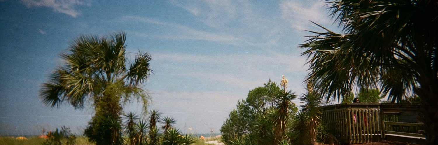 maddymalach's profile banner image