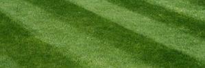 5dollarVAPE's profile banner image
