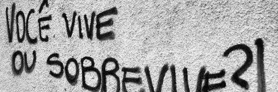 𝖌𝖎𝖔 banner