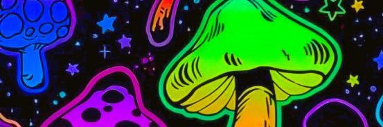 ray_sunshine5's profile banner image