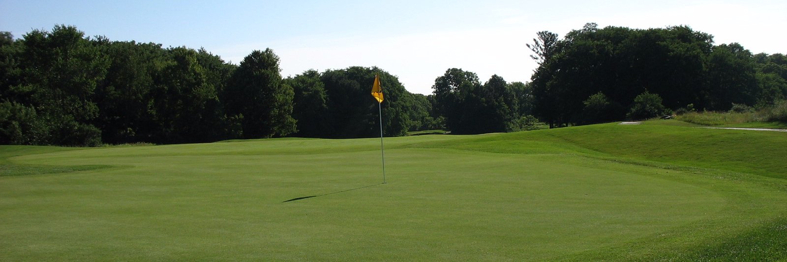 Justin Peckens banner