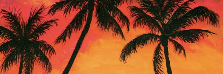 KieraMFernandez's profile banner image