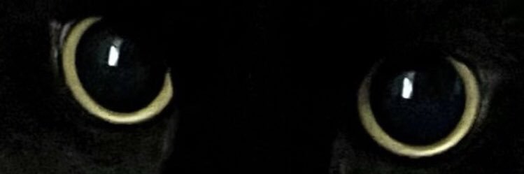 AnaGaby_MC's profile banner image