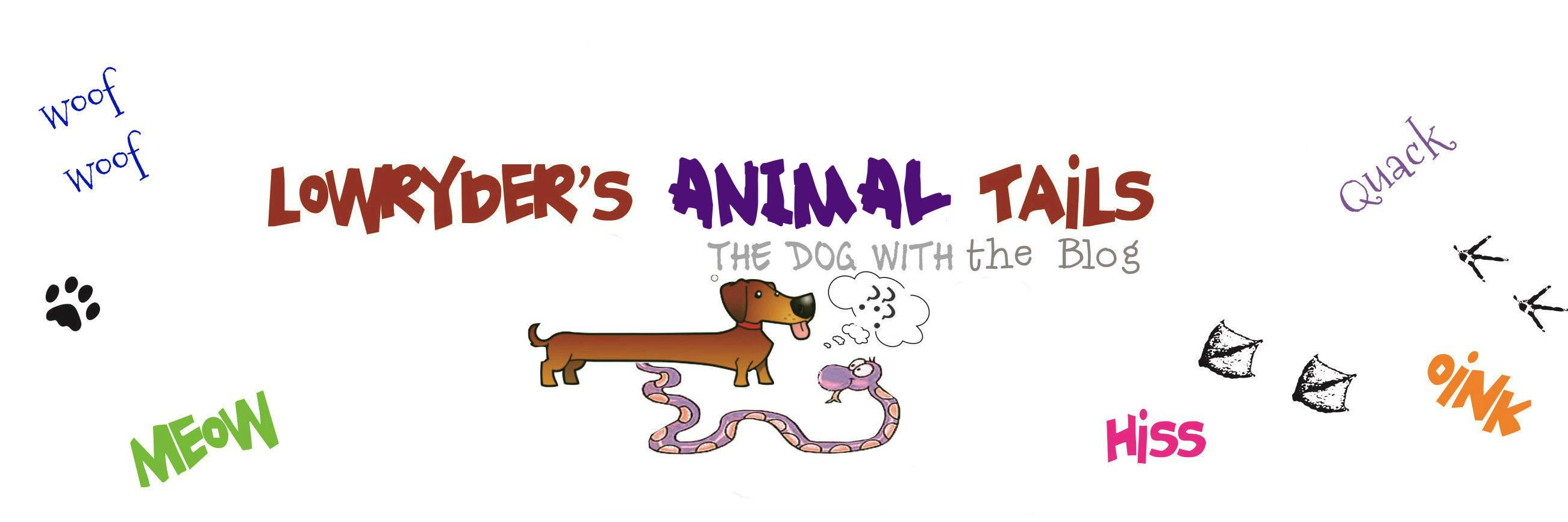 Lowrydertails's profile banner image